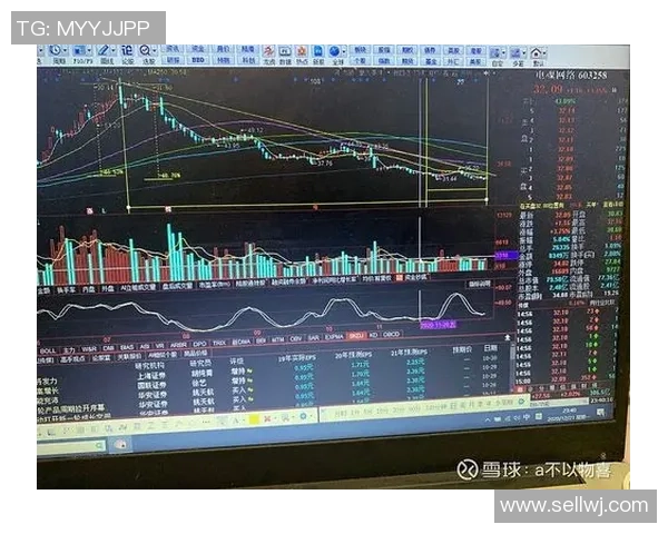 重庆足球队与武汉足球队赛后技术分析与战术复盘探讨
