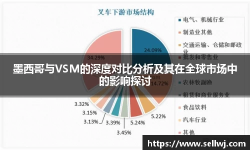 墨西哥与VSM的深度对比分析及其在全球市场中的影响探讨