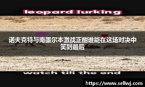诺夫克特与南墨尔本激战正酣谁能在这场对决中笑到最后