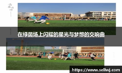 在绿茵场上闪耀的星光与梦想的交响曲