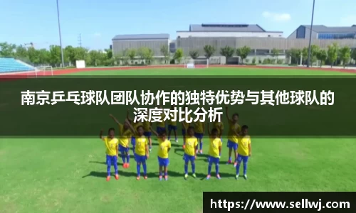 南京乒乓球队团队协作的独特优势与其他球队的深度对比分析