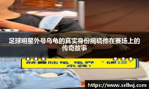 江南体育官方网站